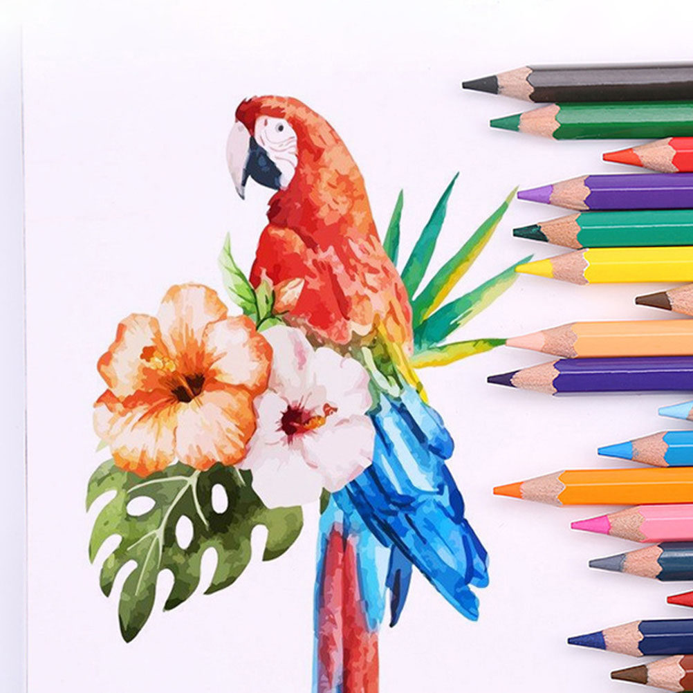 36 قطعة من أقلام الرصاص الاحتر - مراجعة Colored Pencil Professional وسعره