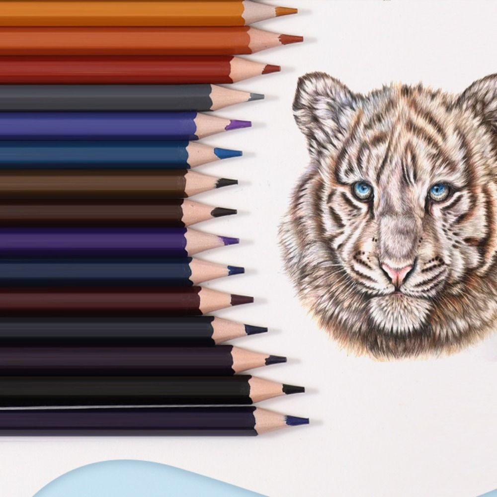 مجموعة أقلام تلوين احترافية لل - مراجعة Colored Pencil Professional وسعره